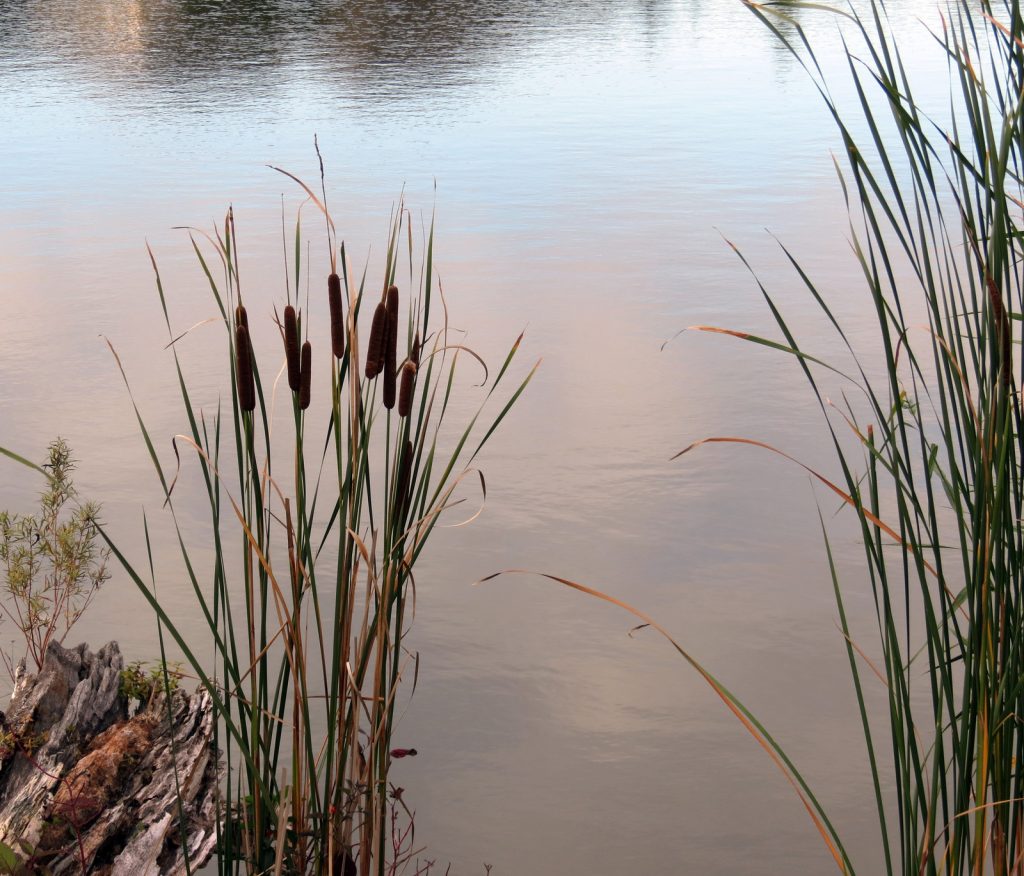 canstockphoto31307018.jpg