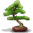 Bonsai.gif
